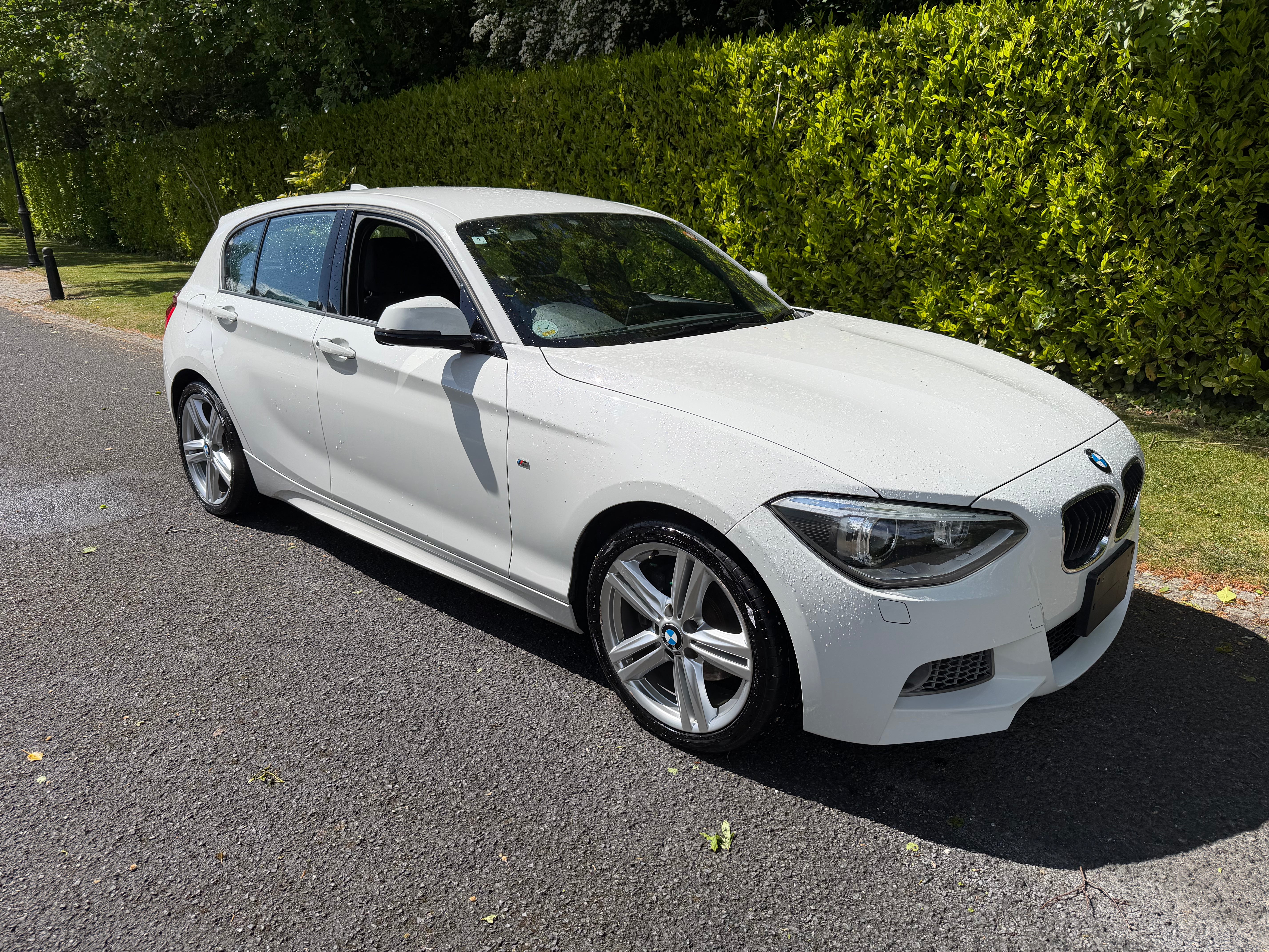 2014 - BMW 116i M-Sport – Alpine White - €9950